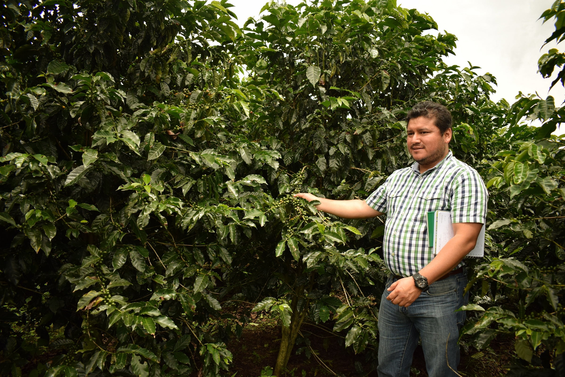 David Gonzales: “Hay un aumento del consumo de café fuera del hogar”